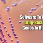 Software To Find Drug-Resistance In Bacteria