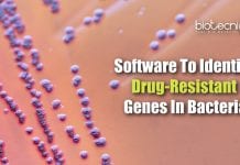 WSU Researchers Develop Software To Identify Drug-Resistant Genes In Bacteria Software To Find Drug-Resistance In Bacteria