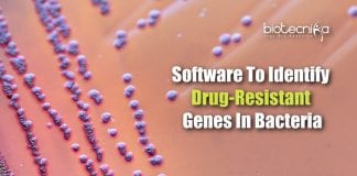 Software To Find Drug-Resistance In Bacteria