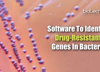 Software To Find Drug-Resistance In Bacteria