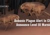 bubonic plague reported in china