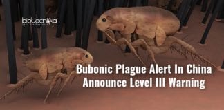 bubonic plague reported in china