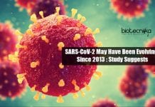 Origin Of Novel Coronavirus