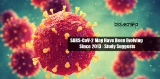 Origin Of Novel Coronavirus