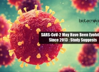 Novel Coronavirus May have Been Circulating Among Humans Since 2013 : Study Suggests Origin Of Novel Coronavirus
