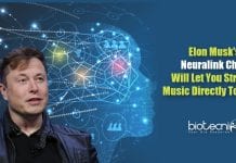 Elon Musk‘s Neuralink Chip Will Let You Stream Music Directly To Brain Neuralink brain computer interface