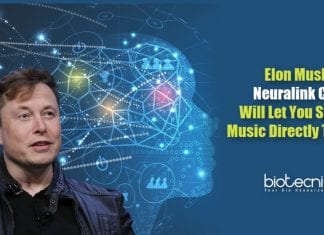 Neuralink brain computer interface