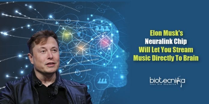 Neuralink brain computer interface