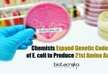 Rice University Chemists Expand Genetic Code of E. coli to Produce 21st Amino Acid 21st Amino Acid From E.coli Produced By Rice University Chemists