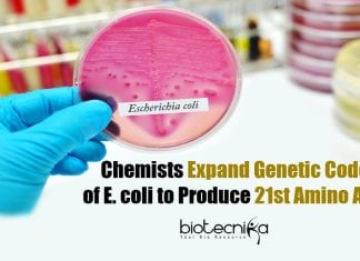 Rice University Chemists Expand Genetic Code of E. coli to Produce 21st Amino Acid 21st Amino Acid From E.coli Produced By Rice University Chemists