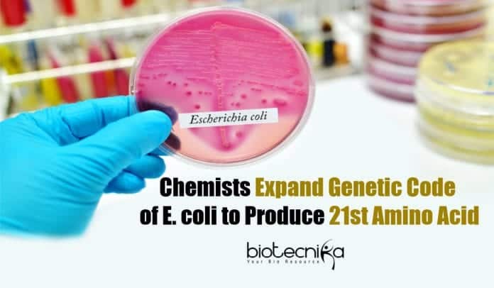 21st Amino Acid From E.coli Produced By Rice University Chemists
