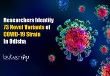 73 Novel Variants of COVID-19 Strain