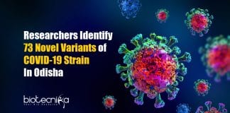 73 Novel Variants of COVID-19 Strain