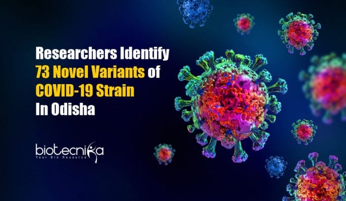 73 Novel Variants of COVID-19 Strain