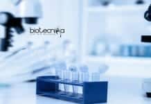 AIIMS Delhi Life Sciences Junior Research Fellow Vacancy Available AIIMS Delhi Latest Vacancy