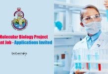 BHU Molecular Biology Project Assistant Job – Applications Invited BHU Molecular Biology Project