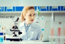 BIT Mesra Biotech & Life Sciences JRF/Project Associate Job Opening BIT Mesra Biotech