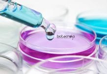 Bayer Biological Sciences Experiments & Traits Digital Specialists Jobs Bayer Biological Sciences Job