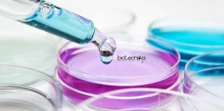 Bayer Biological Sciences Job