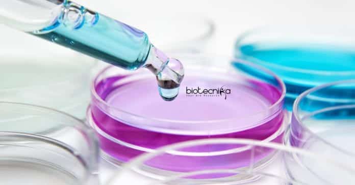 Bayer Biological Sciences Job