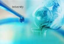 Bharathidasan University Life Sciences & Zoology Project Fellow Job Bharathidasan University Life Sciences