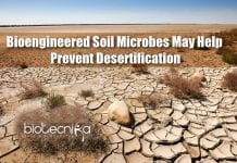 Bioengineered Soil Microbes