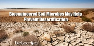 Bioengineered Soil Microbes