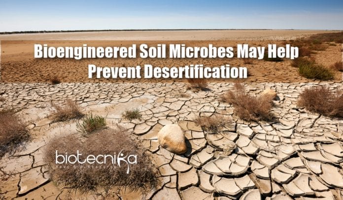 Bioengineered Soil Microbes