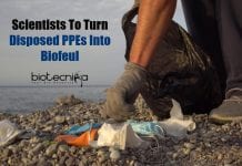 Biofuel from Disposed PPE