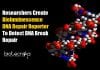 Bioluminescent Tag to Detect DNA Break Repair Bioluminescence DNA Repair Reporter