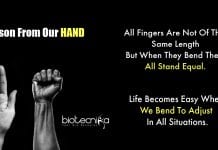 Biotecnika Times – Newsletter 07.08.2020 – CDFD Rs.75,000/- Pay Life Science Job, CIMAP-JNU