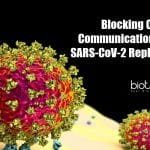 Study Finds Blocking Cellular Communication Stops SARS-CoV-2 Blocking cellular communication stops SARS-CoV-2