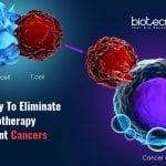 Blocking TREM2 enhance immunotherapy