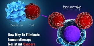 Blocking TREM2 enhance immunotherapy