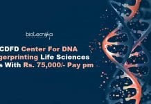 CDFD Centre For DNA Fingerprinting Life Sciences Jobs With Rs. 75,000/- Pay pm CDFD Genomics Jobs