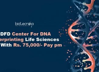 CDFD Genomics Jobs