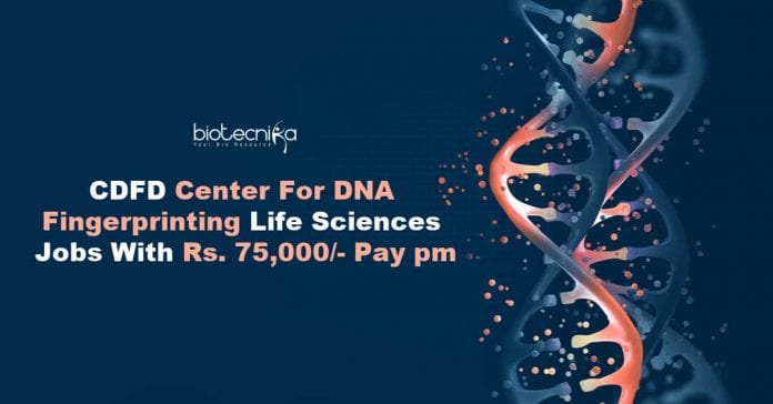CDFD Genomics Jobs