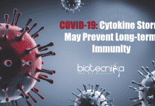 Long-term Immunity May Not Occur Due To Cytokine Storm In COVID-19 Patients COVID-19: Cytokine storm