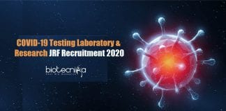 CUK JRF Jobs