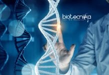 Central University of Punjab Life Sciences JRF Vacancy Available CUP Latest Jobs