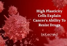 High Plasticity State Identified In Cancer Cells May Explain Their Resistance To Drugs Chemotherapy Resistance In Cancer