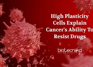 Chemotherapy Resistance In Cancer