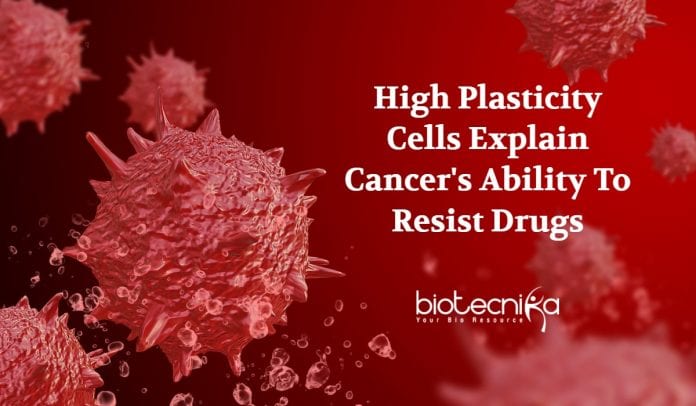Chemotherapy Resistance In Cancer