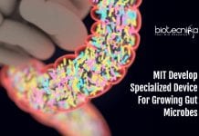 Device To Model Gut Microbiome