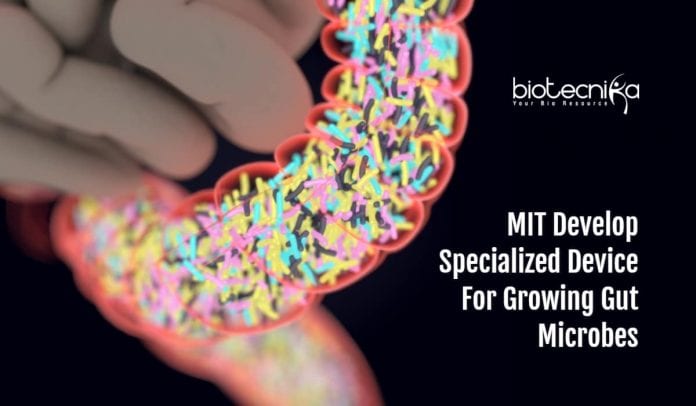 Device To Model Gut Microbiome