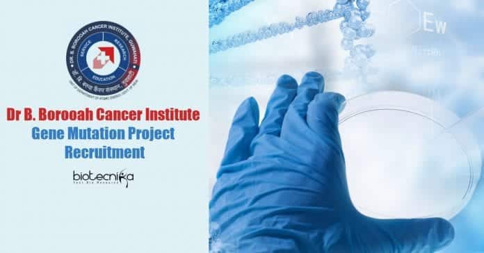 Dr BBCI Biotech