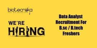 Data Analyst Job