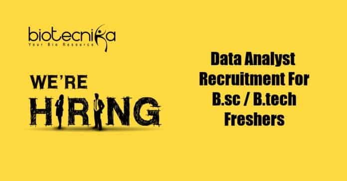 Data Analyst Job