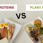 Plants a better source of protein than animals 