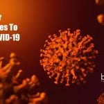 Monoclonal antibodies to protect from COVID-19